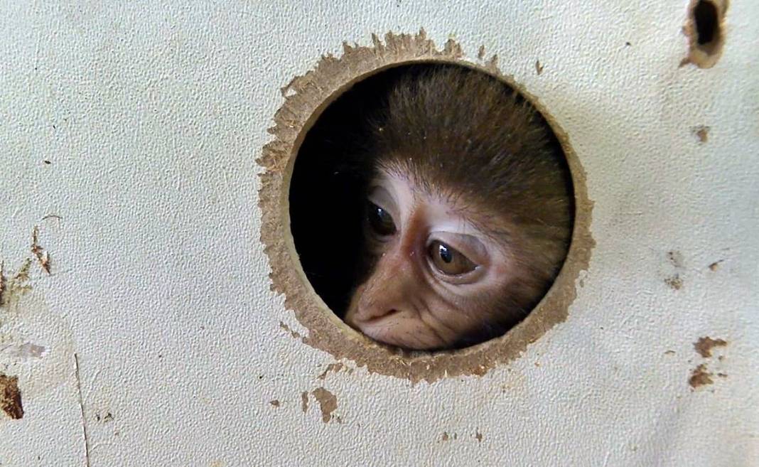 Otobüsle gönderilen koliyi kimse almayınca şoke eden gerçek ortaya çıktı! Hiç kimse bu kadar absürtlüğü tahmin edemezdi 15